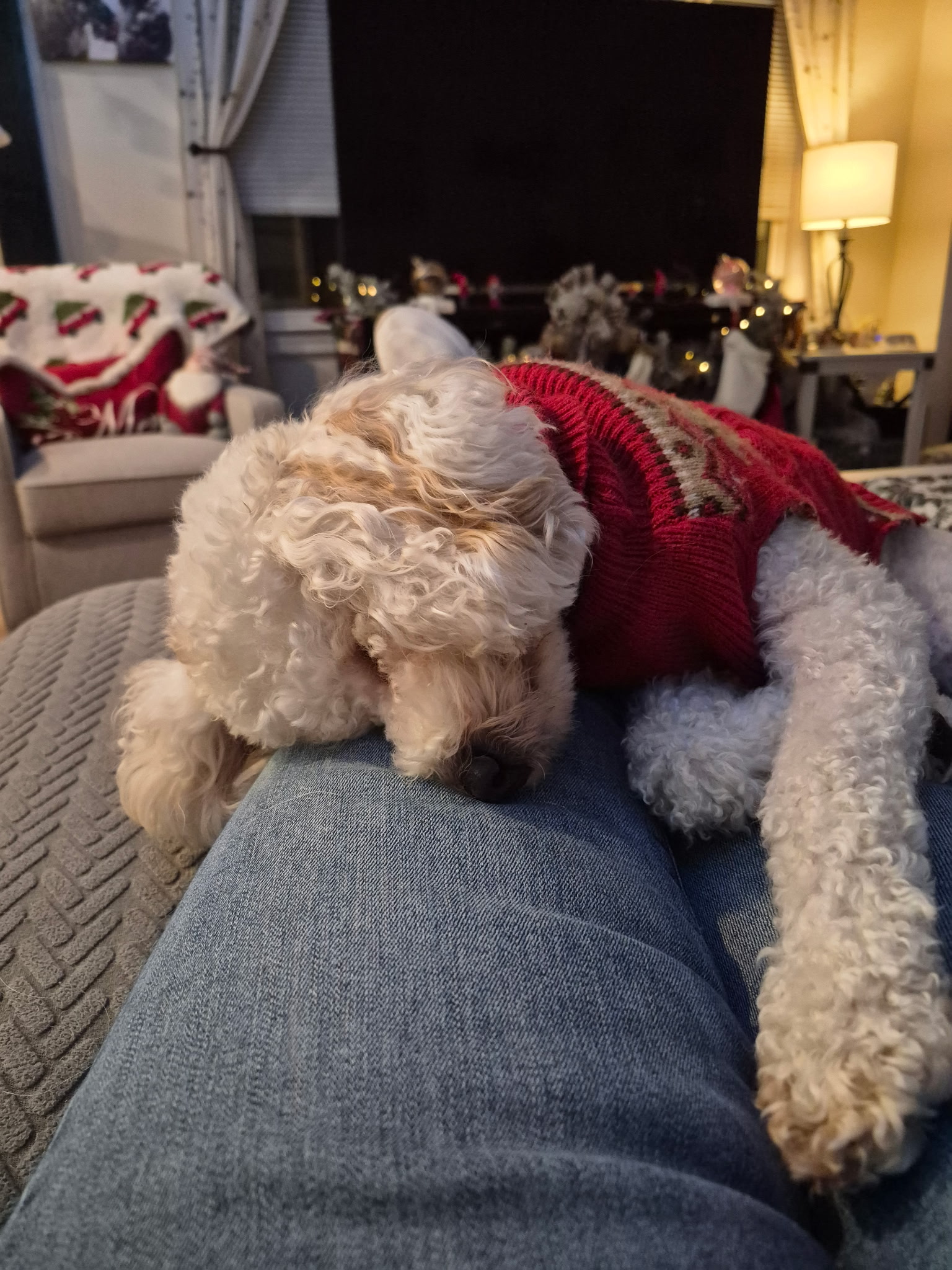 resting on leg